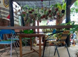 Cafe WinWin Hòa Phong