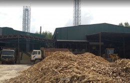 Nhà máy chế biến tinh bột sắn Đăk Lăk