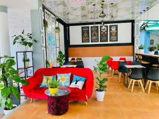 Cà phê Thảo Nguyên Xanh