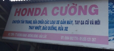 Honda Cường